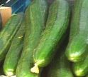 Zucchini