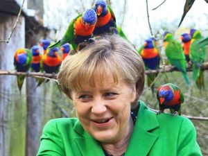 Klicken um zu vergrößern angela merkel