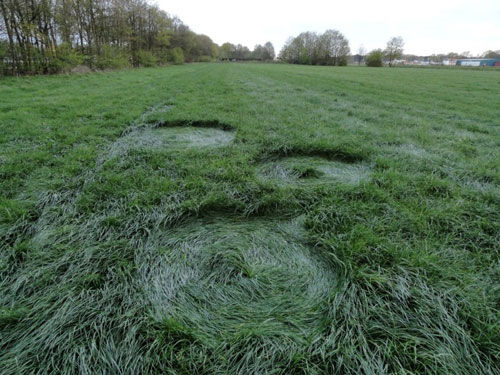 Klicken um zu vergrößern Kornkreisaufnahmen Niederlande April 2012