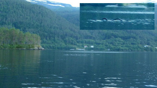 Klicken um zu vergrößern Nessie