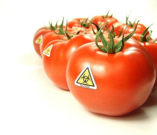 Klicken um zu vergrößern Genfood