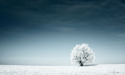 Klicken um zu vergrößern Winter, Eiszeit