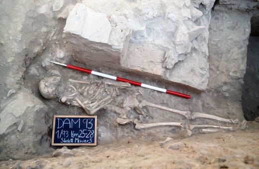 Skelett in der Gladiatoren-Grabanlage in Ephesos
