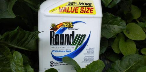 roundup monsanto glyphosat