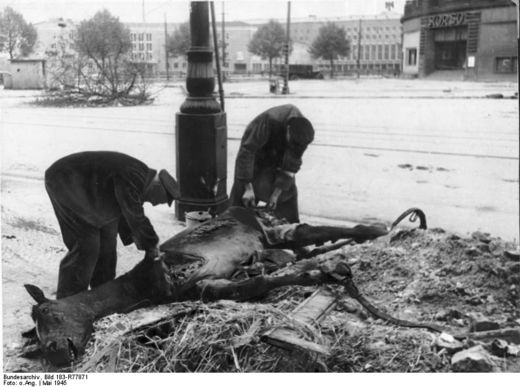 Berlin, Einwohner zerlegen ein Pferd 1945