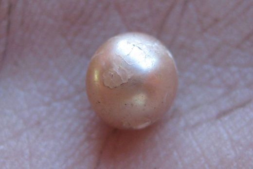 Diese Perle aus der westaustralischen Region Kimberley wurde auf 2000 Jahre datiert
