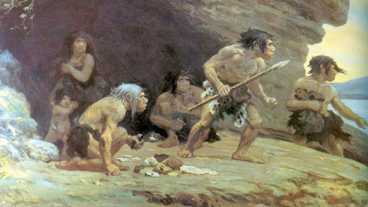 neandertal neanderthal
