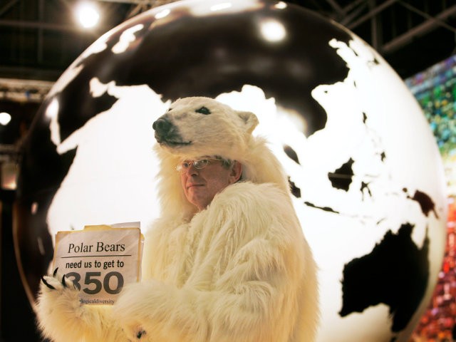 polarbär, klimaschwindel