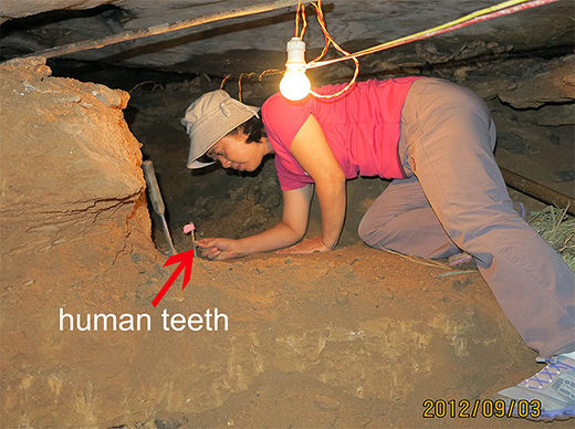 Fund eines Zahns in der Fuyan-Höhle