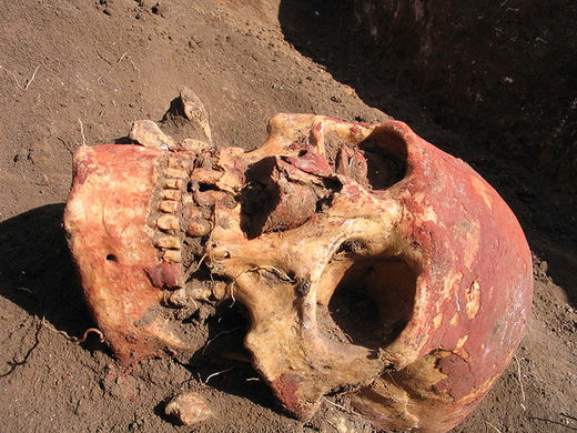 Bronzezeitlicher Schädel aus Zentralasien, an dem die Forscher Spuren des Pesterregers Yersinia pestis fanden. 