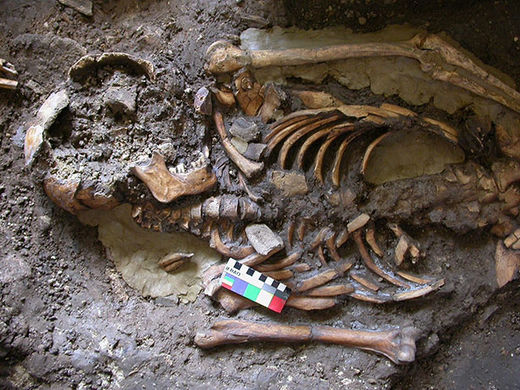 Skelett Kotias-Felsunterstand Georgien
