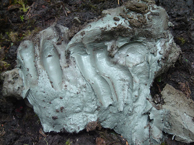 Heilerde Kisameet Clay aus British Columbia
