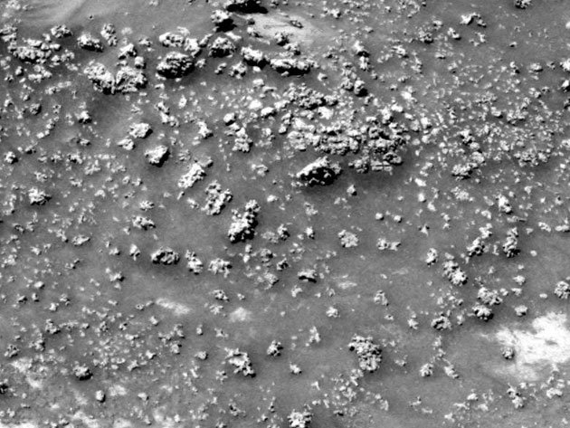 Mars-Krater Gusev Mikroben