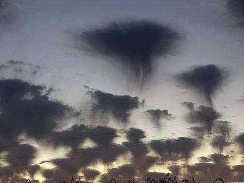Jellyfish clouds