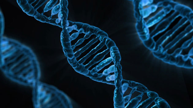 menschliche DNA DNS