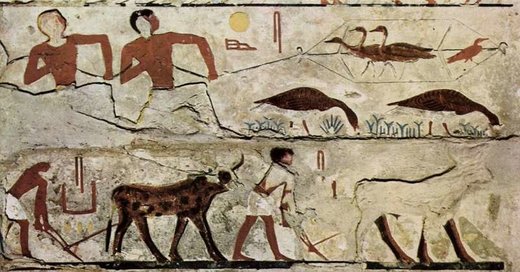 Vogelfang (Gänse) und Feldbestellung im Alten Ägypten um ca. 2700 v. Chr