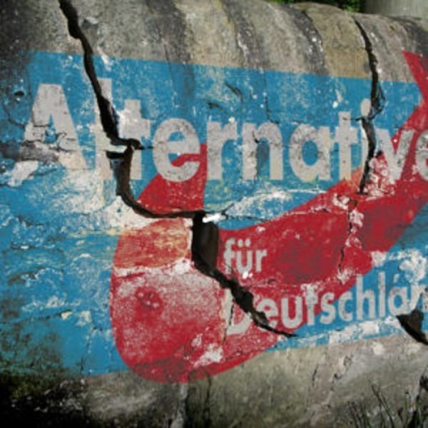 AfD,Alternative für Deutschland, AfD Dilemma