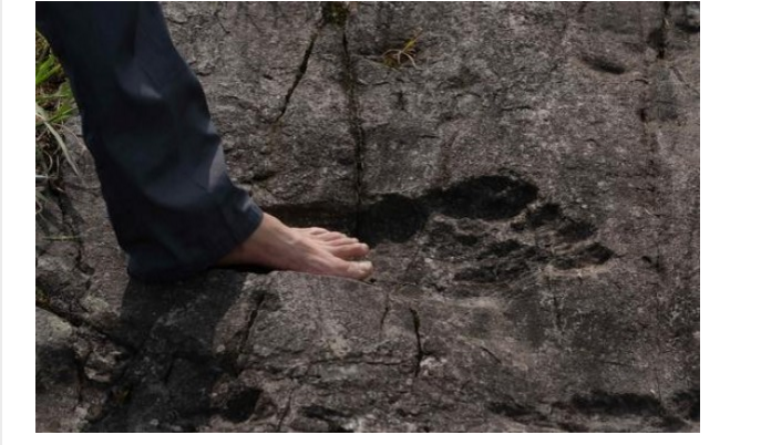 Bigfoot Fußabdruck China Pingyan august 2016