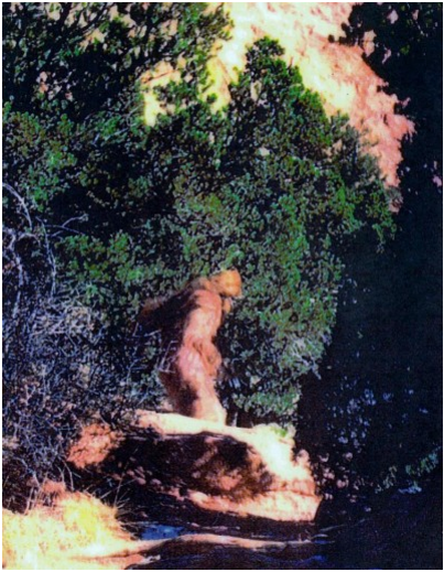 Bigfoot Aufnahme Colorado 1992