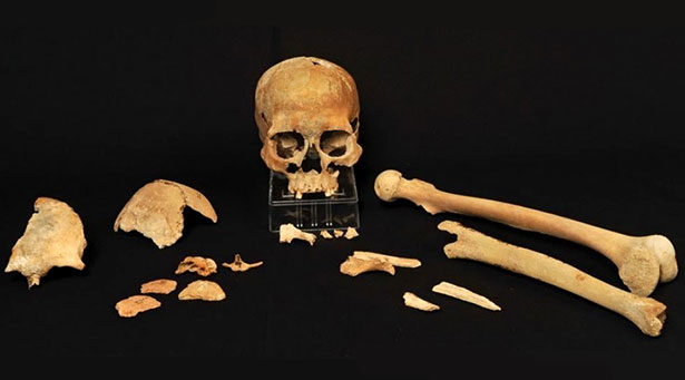 Knochen von einem der steinzeitlichen Skandinavier, deren DNA analysiert wurde. Das Skelett stammt aus dem Südwesten Norwegens.