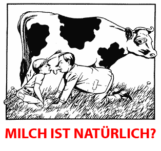 milch, kuh, euter