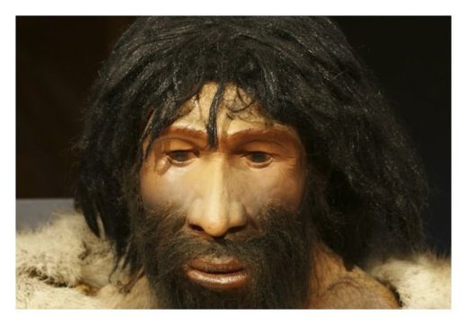 Neanderthal / Neandertaler