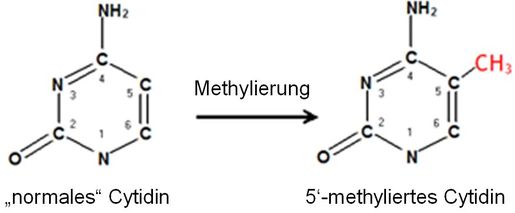 Methylierung