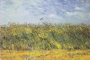 Van Gogh: Getreidefeld mit Mohnblumen und Lerche