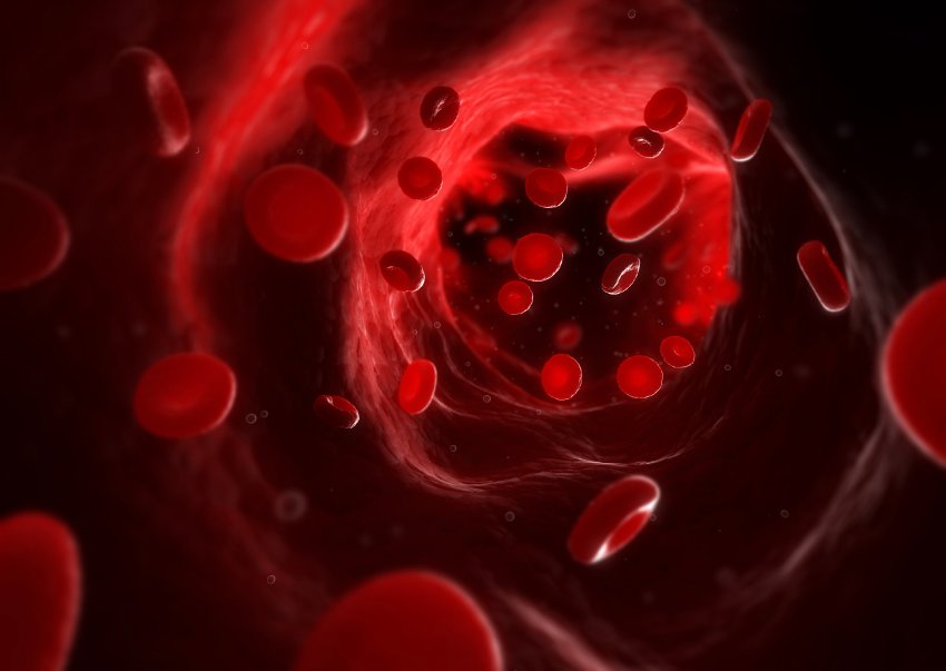 Blut, Blutkörperchen