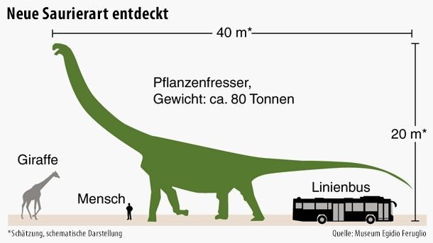 Gr\u00f6\u00dfter Dinosaurier aller Zeiten entdeckt: Die unglaublichen Zahlen zum Sensationsfund 