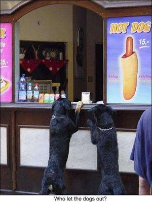 hot_dogs