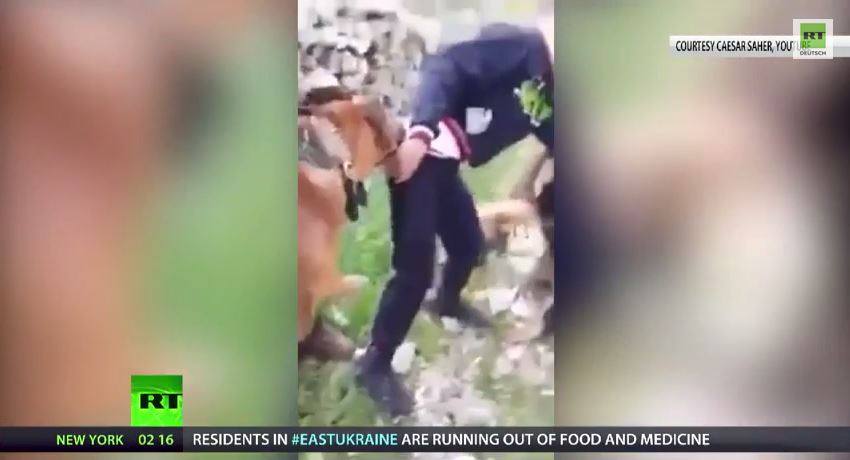 Israelis setzen Hunde gegen Palästinenser ein