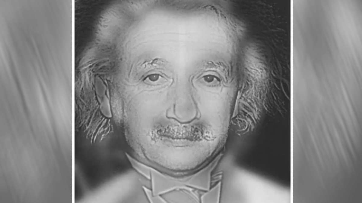 Sehen Sie auf dem Bild Marilyn Monroe oder Albert Einstein?