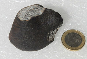 Einer der gefundenen Trümmer des Annama-Feuerballs