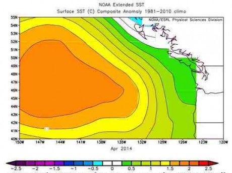 Wärmeanomalie im Pazifik anomaly Pacific