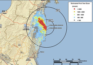 Radioaktive Belastung im ersten Jahr Fukushima