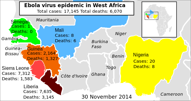 ebola ausbreitung westafrika