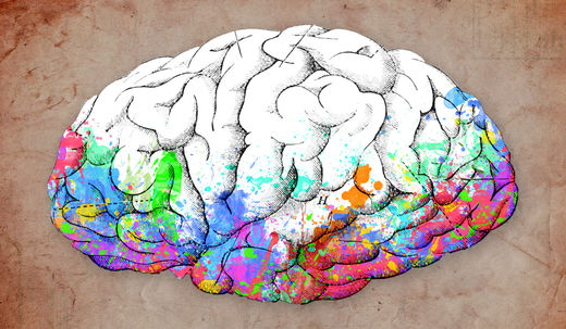 brain, gehirn, kreativität, sott.net