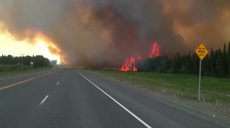 Waldbrände in Alaska Juni 2015