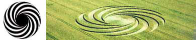 Kornkreis bei Alling 2008 corn circle
