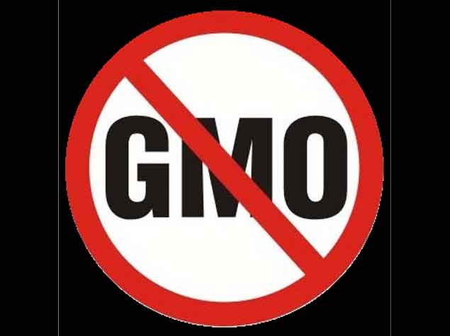 no gmos,anti gvo,gegen genmanipulation