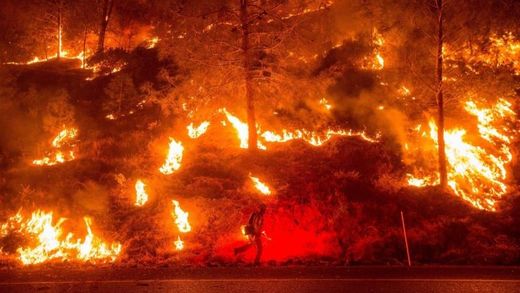 In Kalifornien haben sich die Waldbrände bereits auf rund 190 Quadratkilometer Wald- und Buschland ausgebreitet August 2015