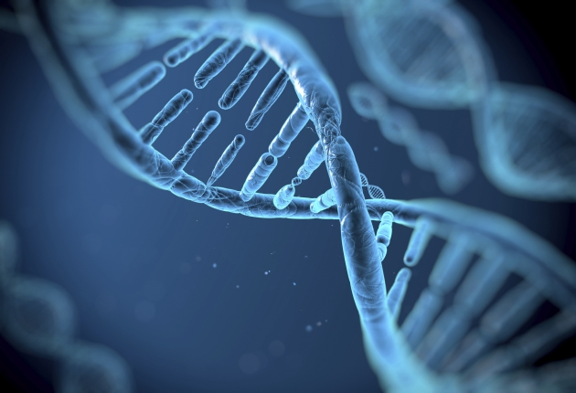 DNA, DNS, Erbgut
