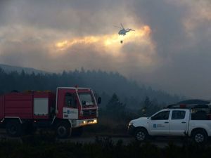 Waldbrände in Spanien August 2015