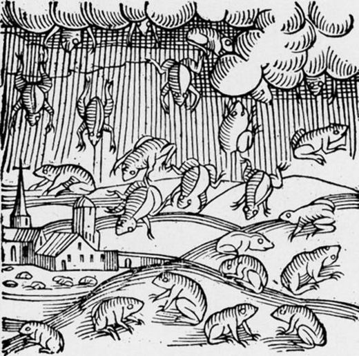  Der Froschregen aus dem Jahre 1355 wurde in einer Chronik abgebildet, die 1557 erschien
