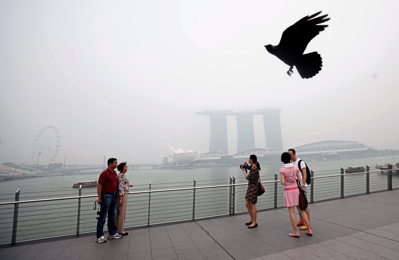 Waldbrände Indonesien Luftverschmutzung Singapur September 2015