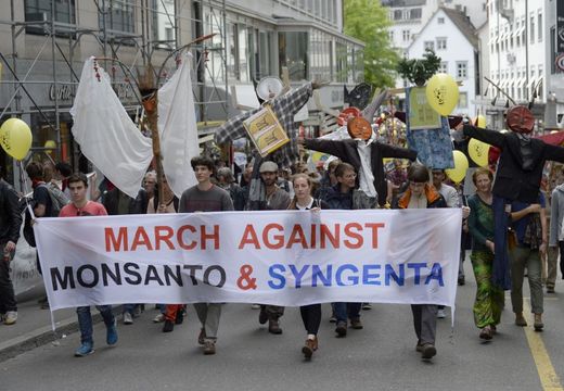 aufmarsch gegen monsanto und syngenta