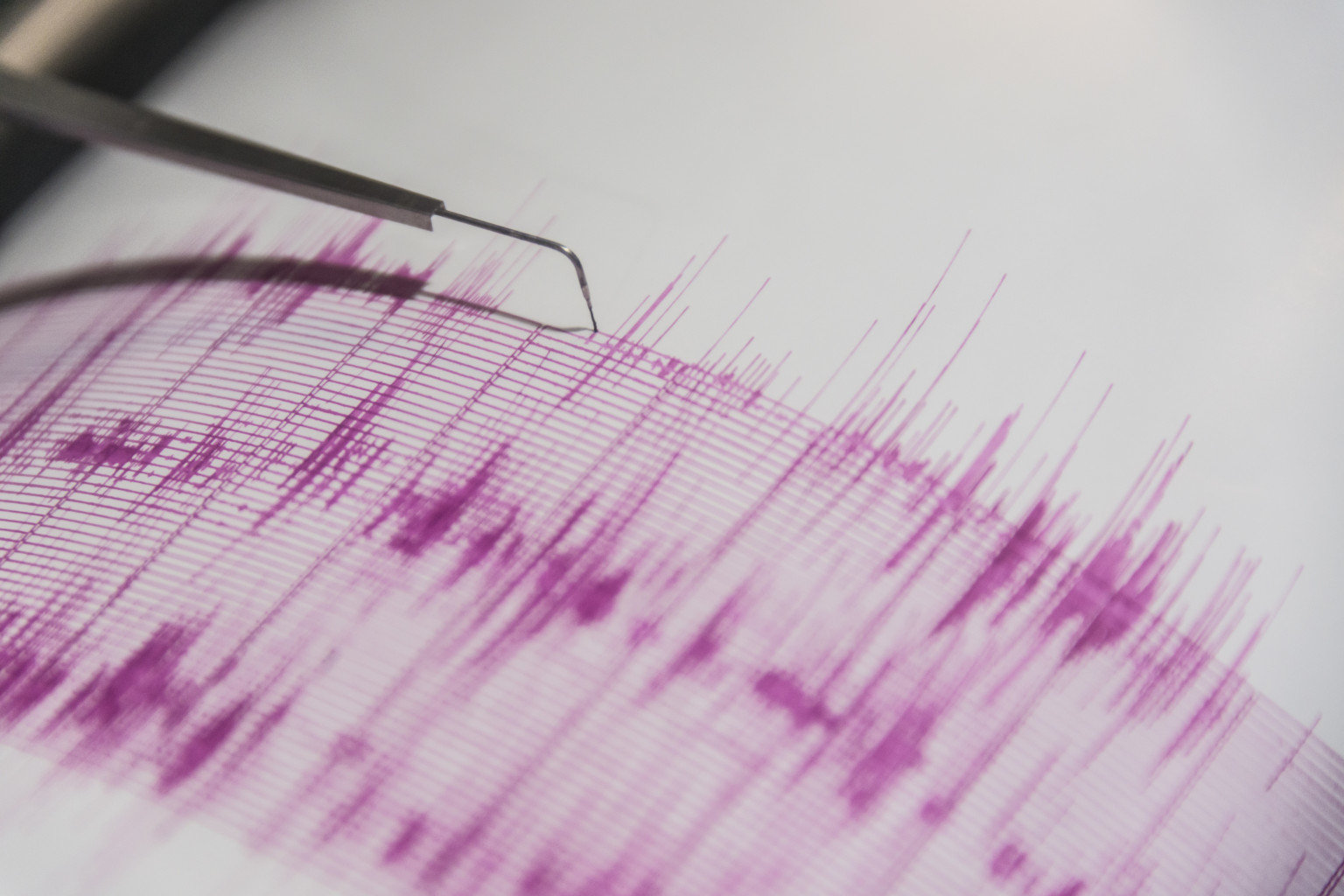 Erdbeben Seismograph