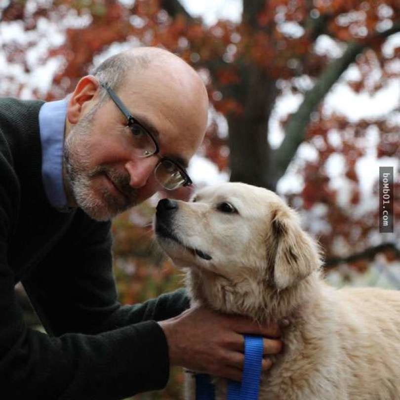 hund,mensch und hund