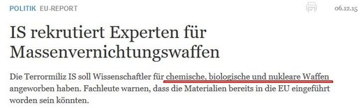 Screenshot Welt.de IS Waffen